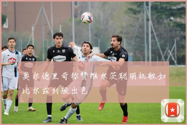 奥尔德里奇称赞维尔茨聪明机敏如比尔兹利般出色